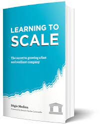 Learning To Scale de Régis Medina